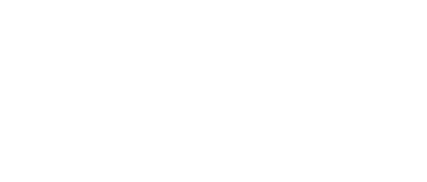 SaddleMattress