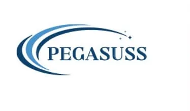 Pegasuss Electronics