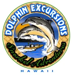 Dolphin Excursions