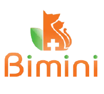 Bimini