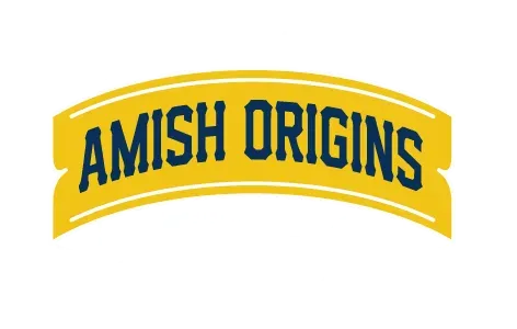 amish origins USA