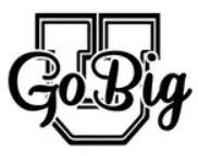 gobigu.com