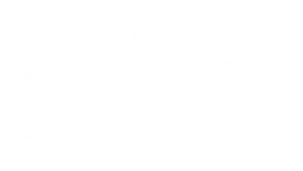 scallywagweb.com