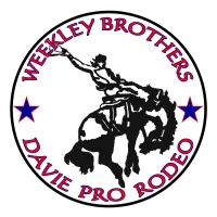 davieprorodeo.com