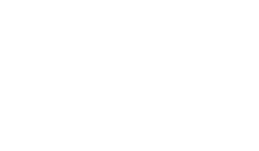 boseaviation.com