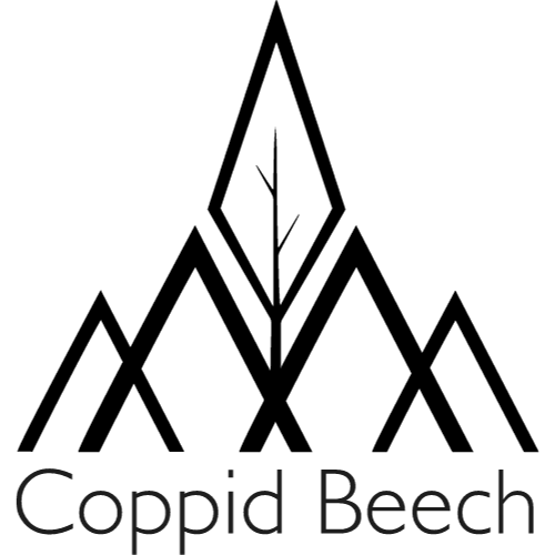 Coppid Beech