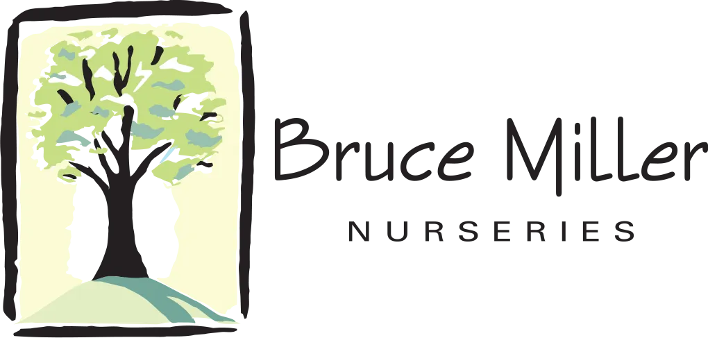 Bruce Miller Nursery