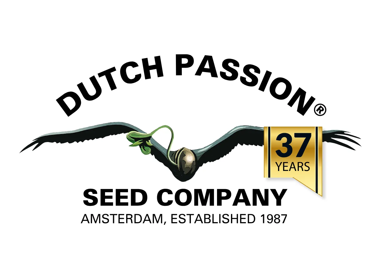 Dutch Passion