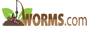 Worms