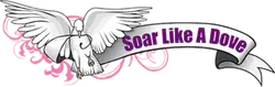 soarlikeadove.com