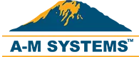 A M Systems