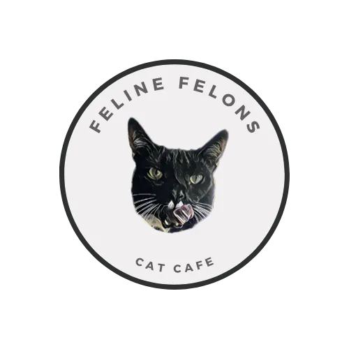 Feline Felons Cat Cafe