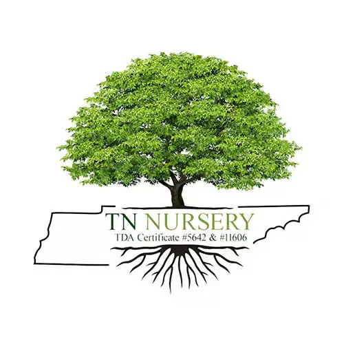 wholesale nursery