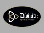 Divinity Boutique