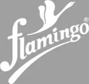 Flamingo Health