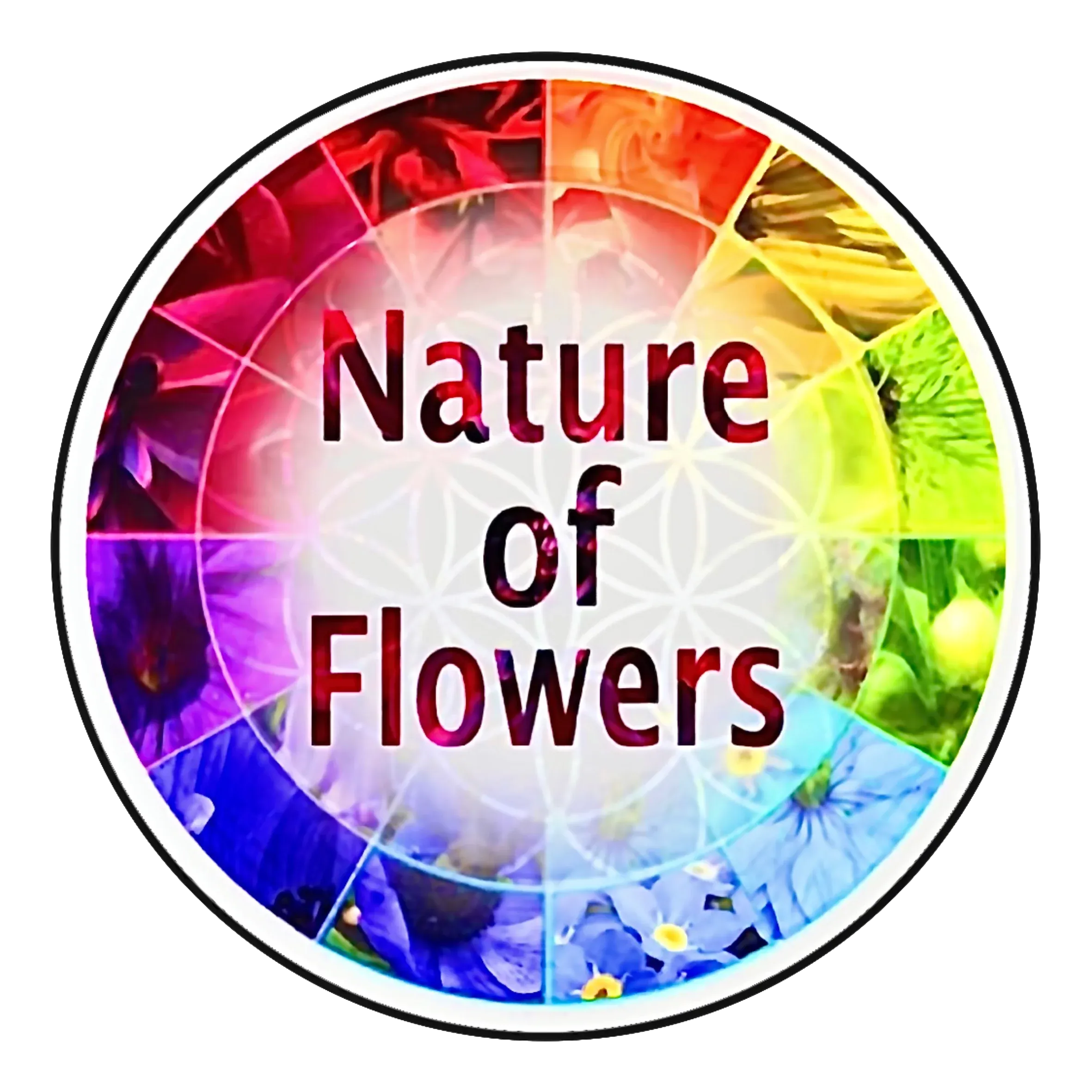 Nature of Flowers