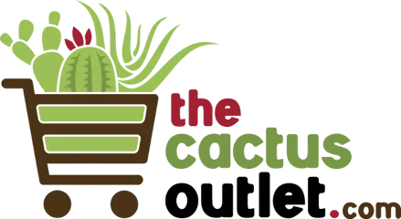 Cactus Outlet