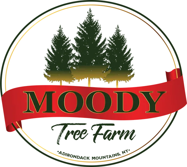 Moody Tree Farm