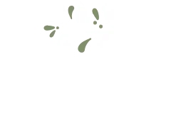 camellia.ie