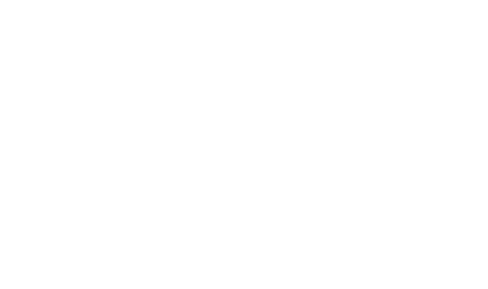 southernflywayoutfitters.com