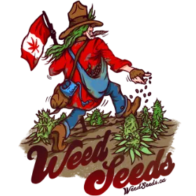 WeedSeeds