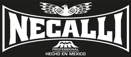 Necalli Boxing