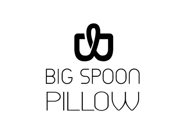 bigspoonpillow.com