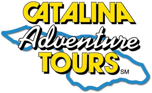 catalinaadventuretours.com