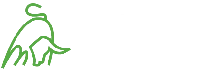 Toro Verde