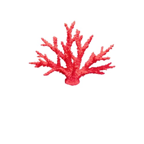 AquaGemCorals