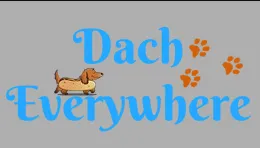 Dach Everywhere