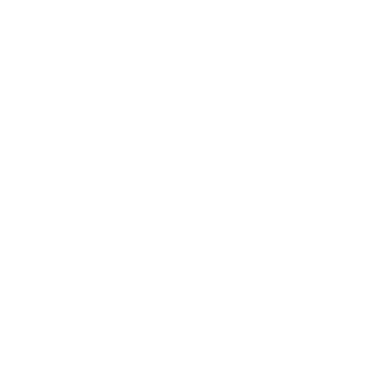 Dc Beer Festival