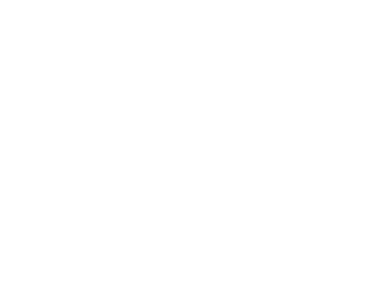 Borealis Coffee