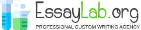 essaylab.org