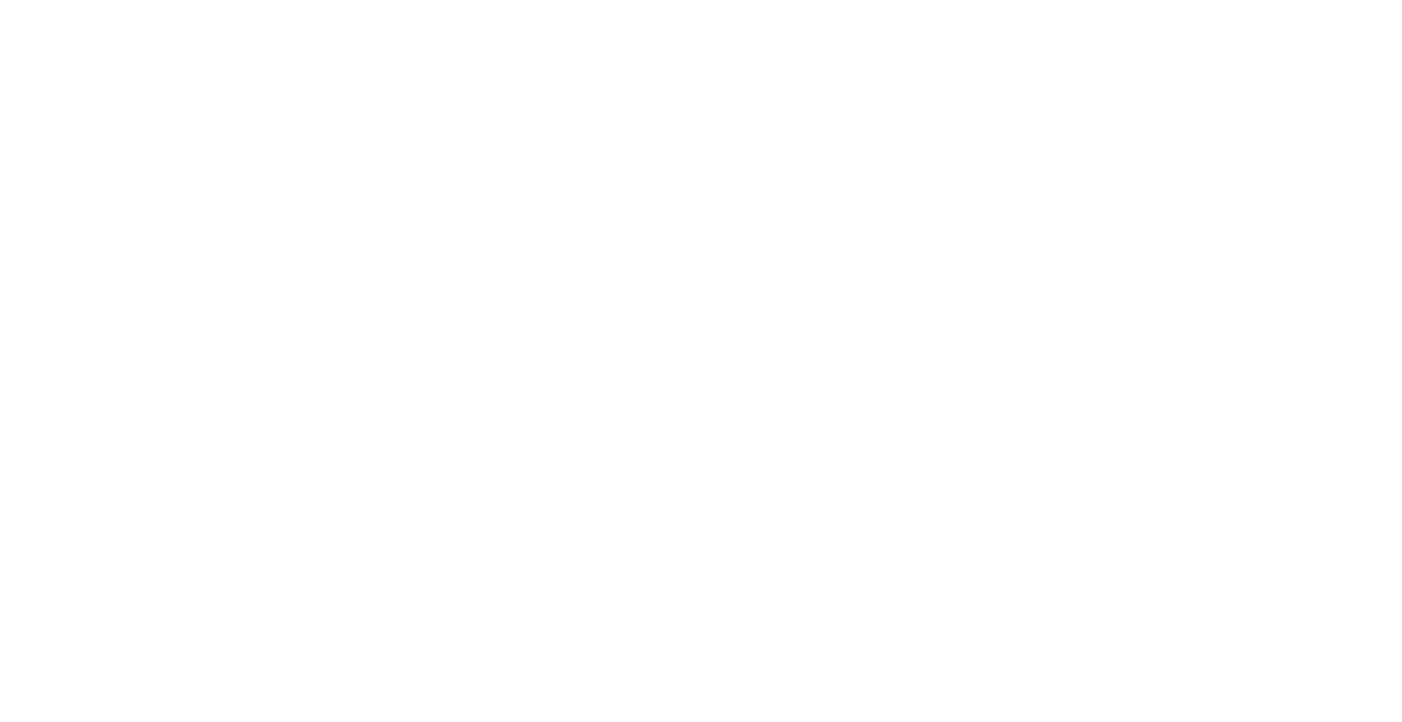 Mr T's Pizza