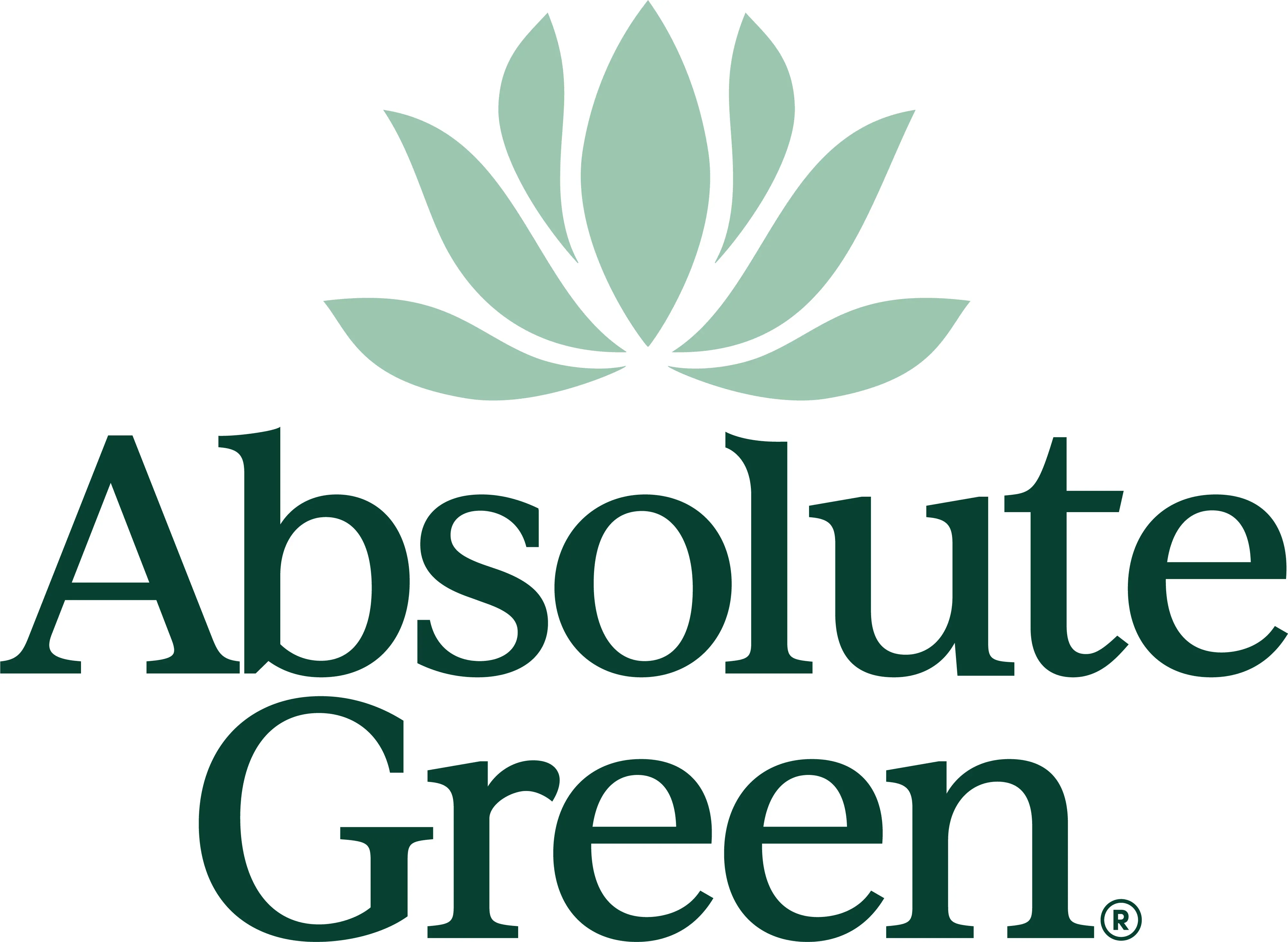 ABSOLUTE GREEN