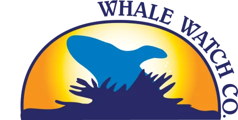 Barharborwhales