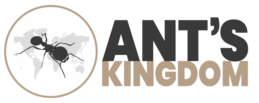 Ants Kingdom