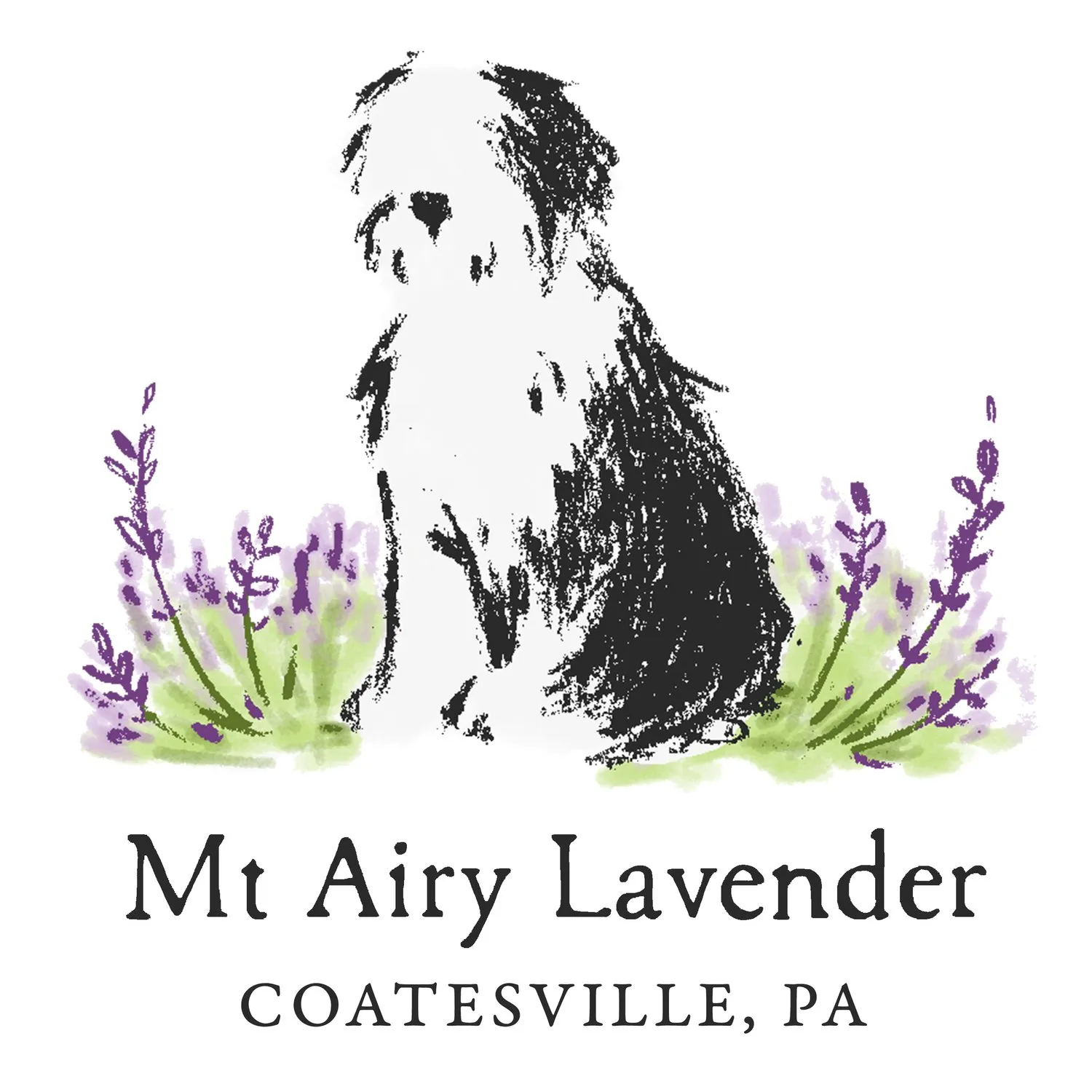 mtairylavender.com