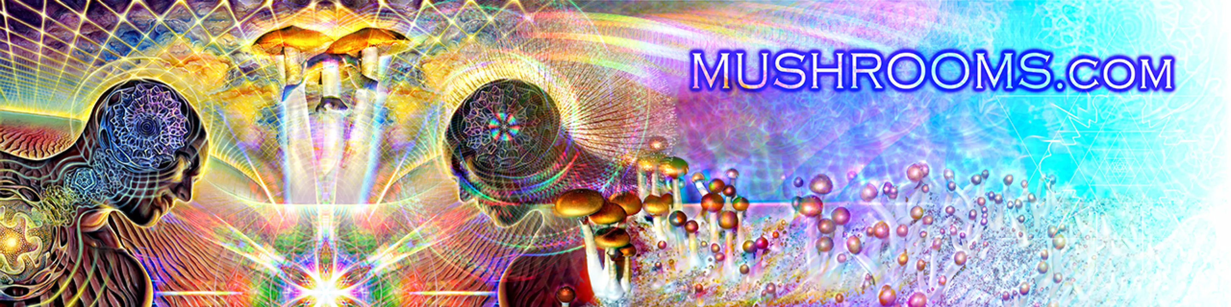 mushrooms.com