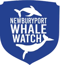 Newburyport Whale Watch