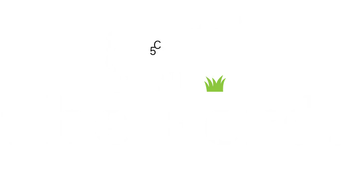 The Herd