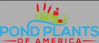 Pond Plants of America