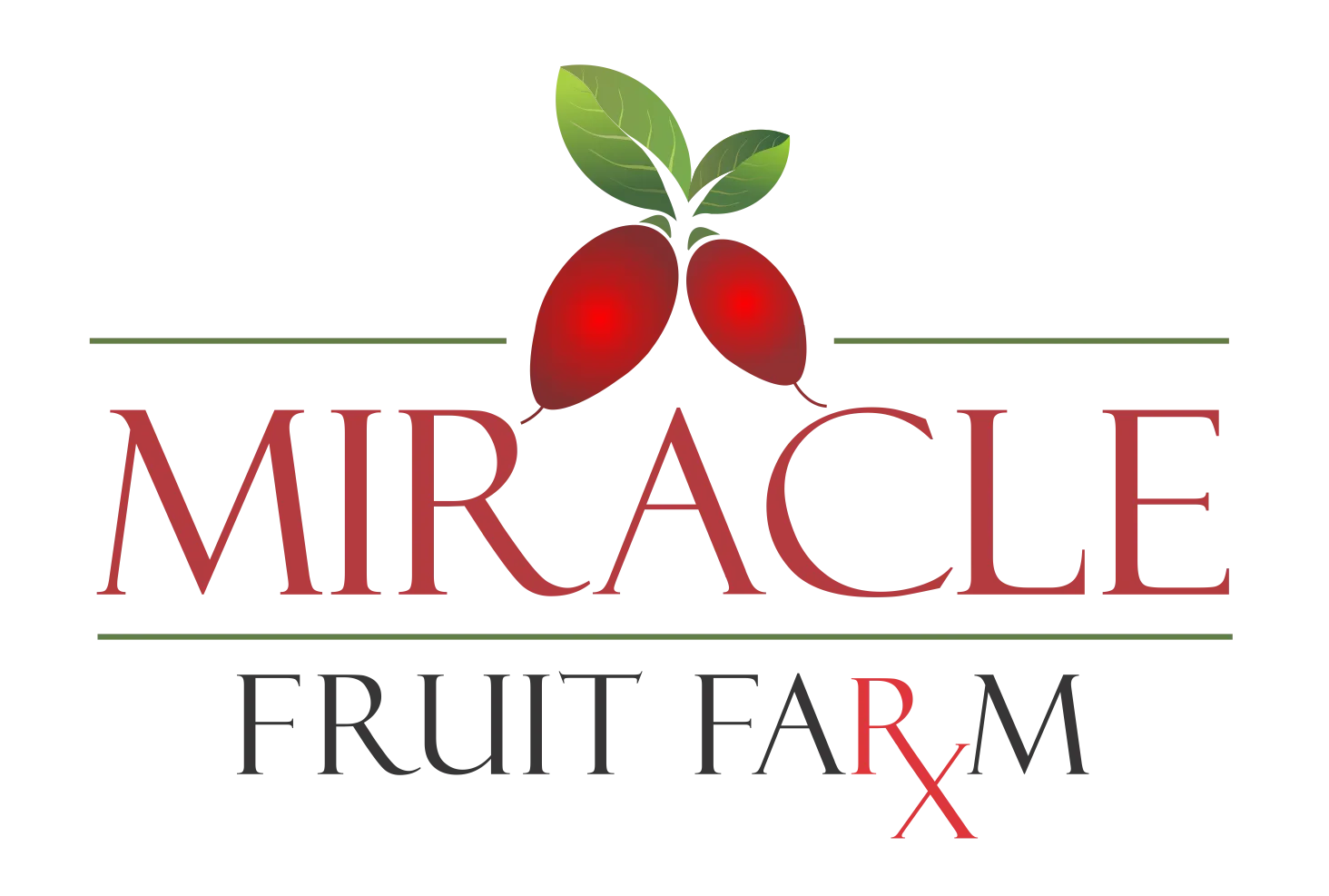 Miracle Fruit Farm