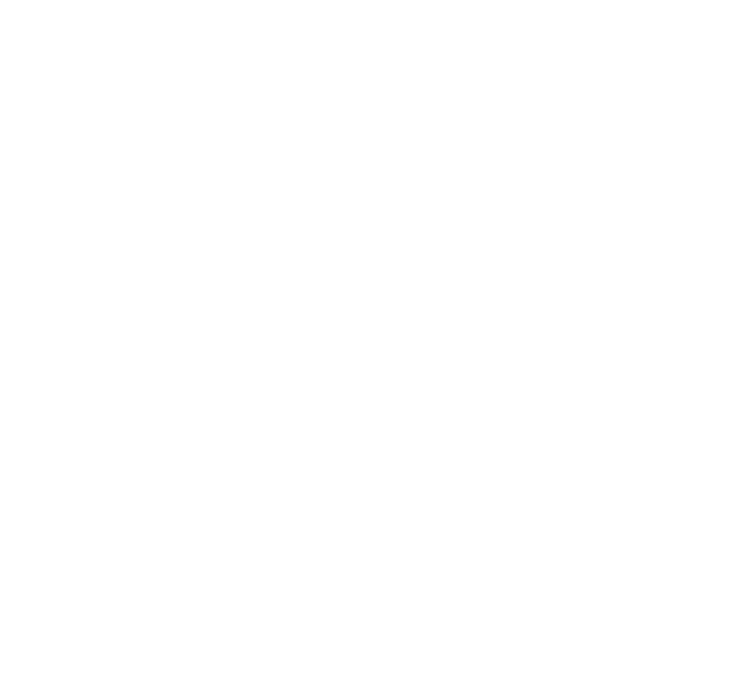 Roi Recreation