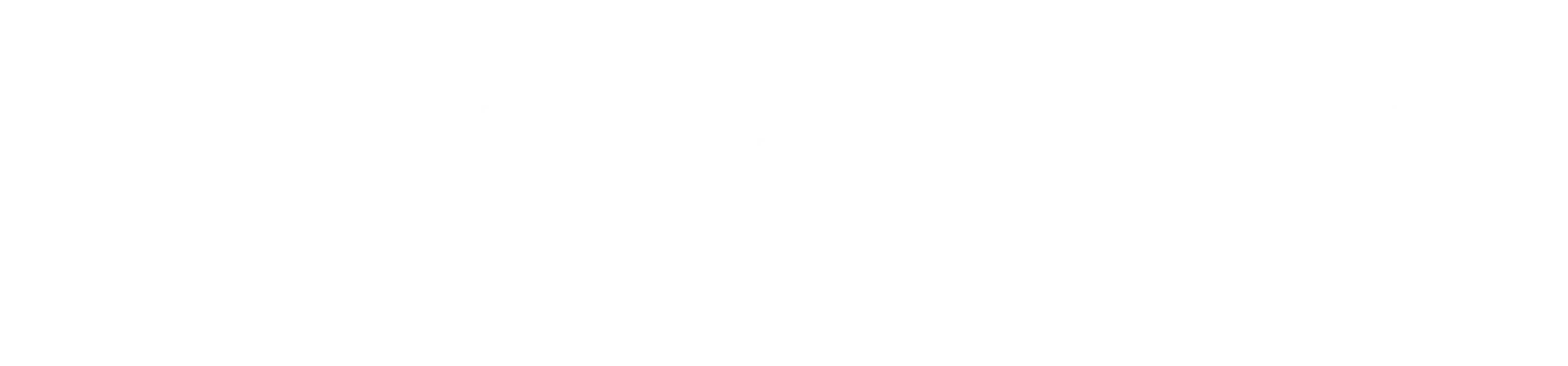 Skiskates