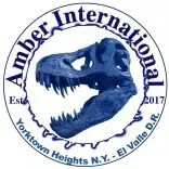 Amberinternational