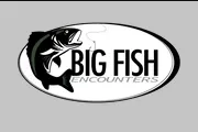 Big Fish Encounters