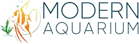 Modern Aquarium