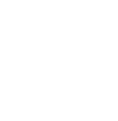 Jester King